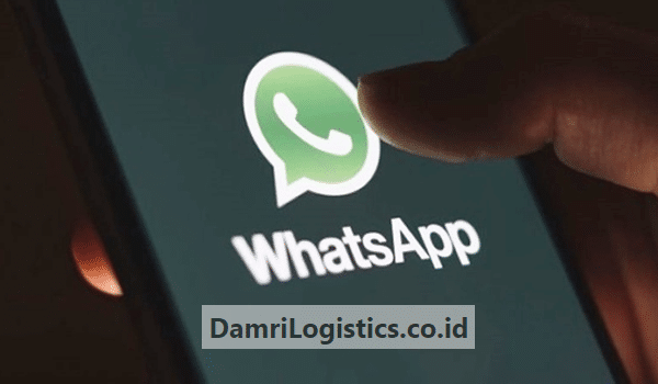 Tentang Provid Whatsapp Profile Video Mod Apk